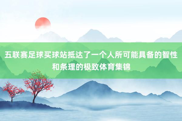 五联赛足球买球站抵达了一个人所可能具备的智性和条理的极致体育集锦