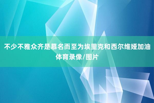 不少不雅众齐是慕名而至为埃里克和西尔维娅加油体育录像/图片