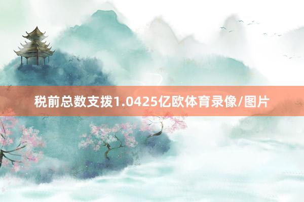 税前总数支拨1.0425亿欧体育录像/图片