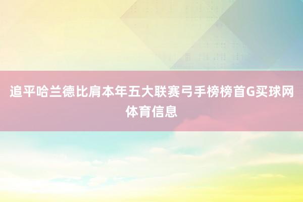 追平哈兰德比肩本年五大联赛弓手榜榜首G买球网体育信息