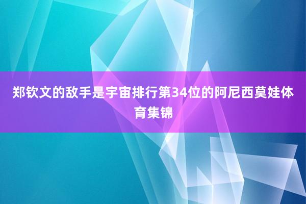 郑钦文的敌手是宇宙排行第34位的阿尼西莫娃体育集锦